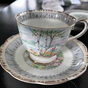 Silver Birch Bone China tea cup and saucer … mint condition